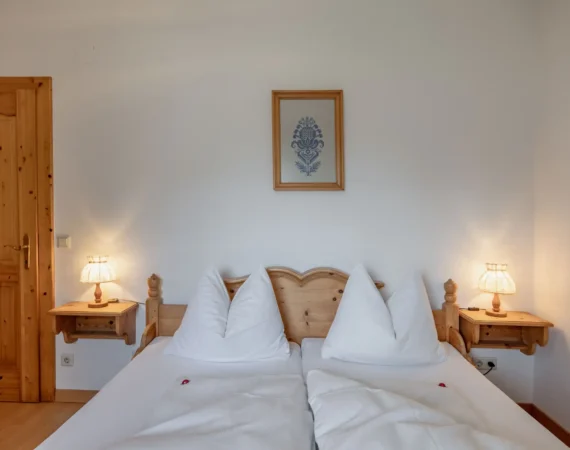 optim-App-Sonnenblume-Hansbauer Juli 2023 -19