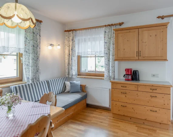 optim-App-Sonnenblume-Hansbauer Juli 2023 -42