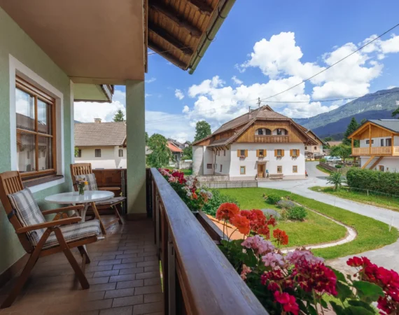 optim-App-Sonnenblume-Hansbauer Juli 2023 -65